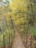 Road